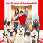 Bilder Das Hundehotel