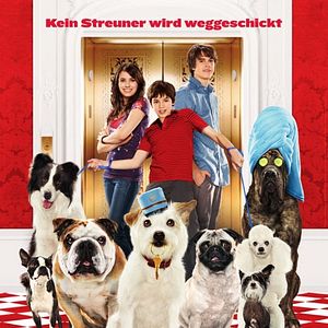 Bilder Das Hundehotel