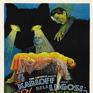 Bilder Die schwarze Katze