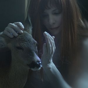 Bilder Bruno Aveillan