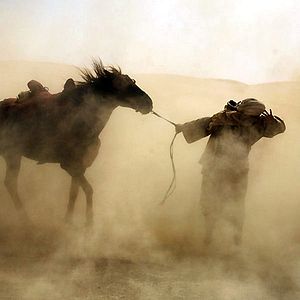 Bilder Bruce Neibaur