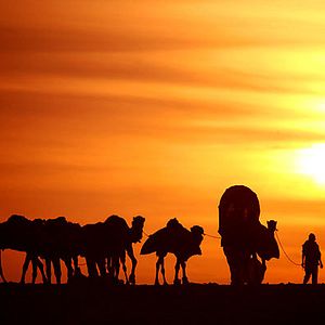 Bilder Bruce Neibaur