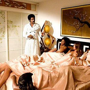 Bilder Scott Sanders