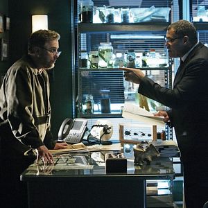 Bilder William L. Petersen