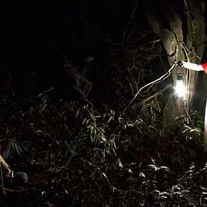 Bilder Hansel & Gretel