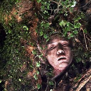 Bilder Hansel & Gretel