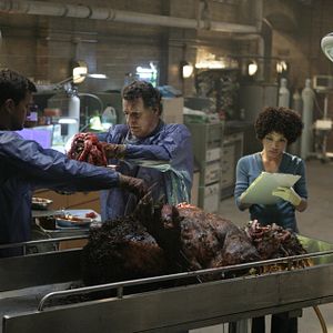 Bilder Joshua Jackson