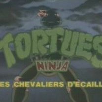 Bilder Teenage Mutant Hero Turtles / Die Ninja Turtles