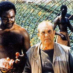 Bilder Nicolas Ribowski