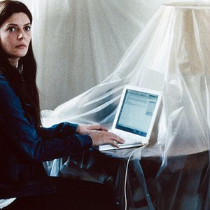 Bilder Un Chat Un Chat