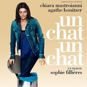 Bilder Un Chat Un Chat