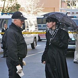 Bilder Pauley Perrette