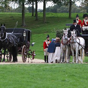 Bilder Wenn Jane Austen wüsste