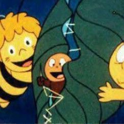 Bilder Die Biene Maja