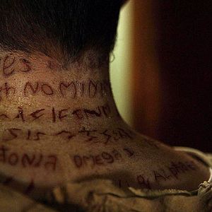 Bilder Peter Cornwell (II)