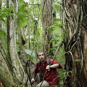 Bilder Willi und die Wunder dieser Welt