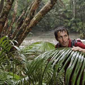 Bilder Willi und die Wunder dieser Welt