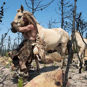 Bilder Jacques Malaterre