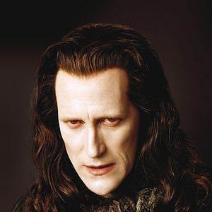 Bilder Stephenie Meyer