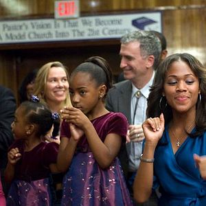 Bilder American Violet