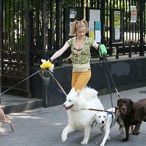 Bilder Whatever works - Liebe sich wer kann