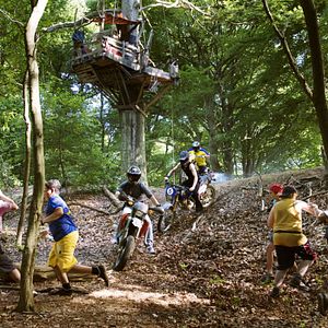 Bilder Die Vorstadtkrokodile