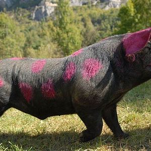 Bilder Eric Martin (IV)