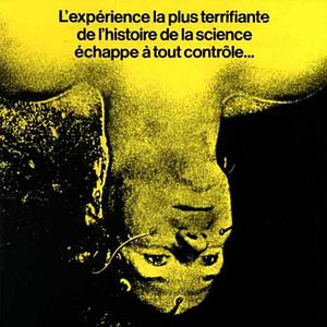 Bilder Der Höllentrip