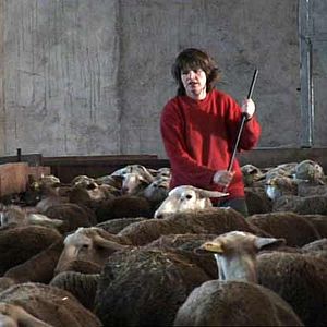 Bilder Catherine Pozzo Di Borgo