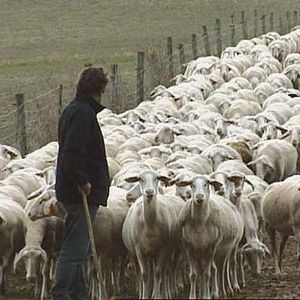 Bilder Catherine Pozzo Di Borgo