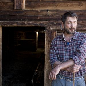 Bilder Nur ein Sommer