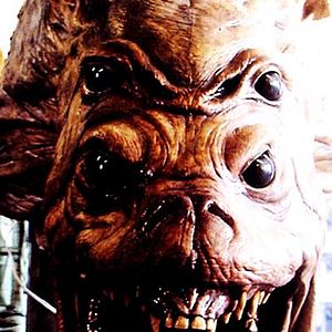 Bilder Julien Magnat