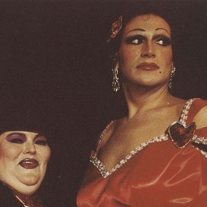 Bilder Das Kuckucksei