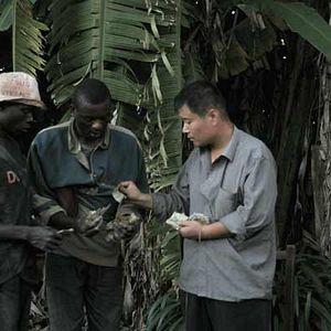 Bilder Thierry Michel