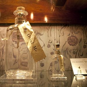 Bilder Alice im Wunderland