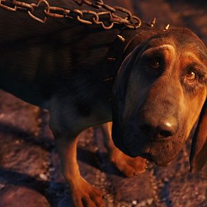 Bilder Alice im Wunderland