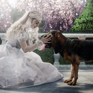 Bilder Alice im Wunderland