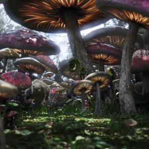 Bilder Alice im Wunderland