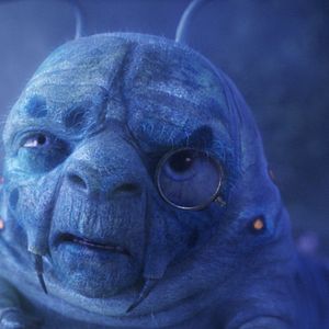 Bilder Alice im Wunderland