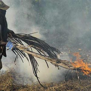 Bilder Sylvaine Dampierre