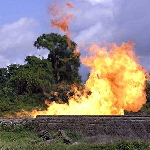 Bilder Franny Armstrong