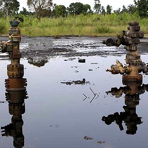 Bilder Franny Armstrong