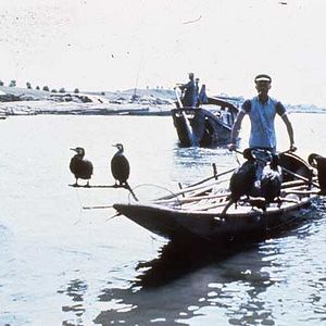 Bilder Michelangelo Antonioni