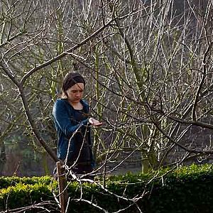 Bilder Julie Sokolowski