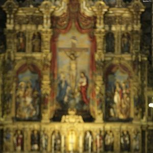 Bilder Cristine Rose