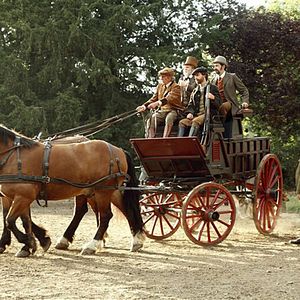 Bilder Julien Rochefort