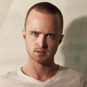 Bilder Aaron Paul