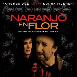 Bilder Naranjo en flor