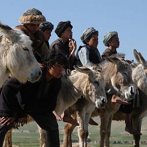 Bilder Two-Legged Horse