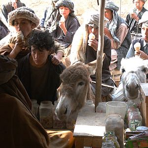 Bilder Two-Legged Horse